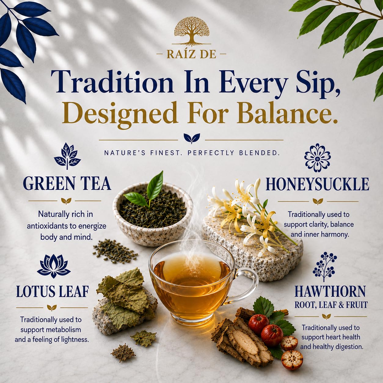 Raiz DE tea bag held in hand showing single-serve convenience and simplicity