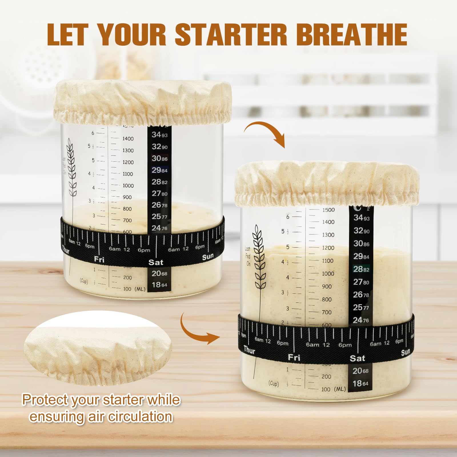 Rakovar jar next to a ruler demonstrating 50oz capacity and size comparison