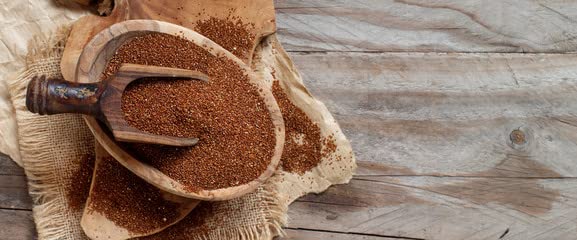 Rawseed teff measured on spoon with scale for portion clarity
