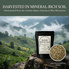 RCSCBC loose-leaf close-up displaying whole botanicals and rich texture