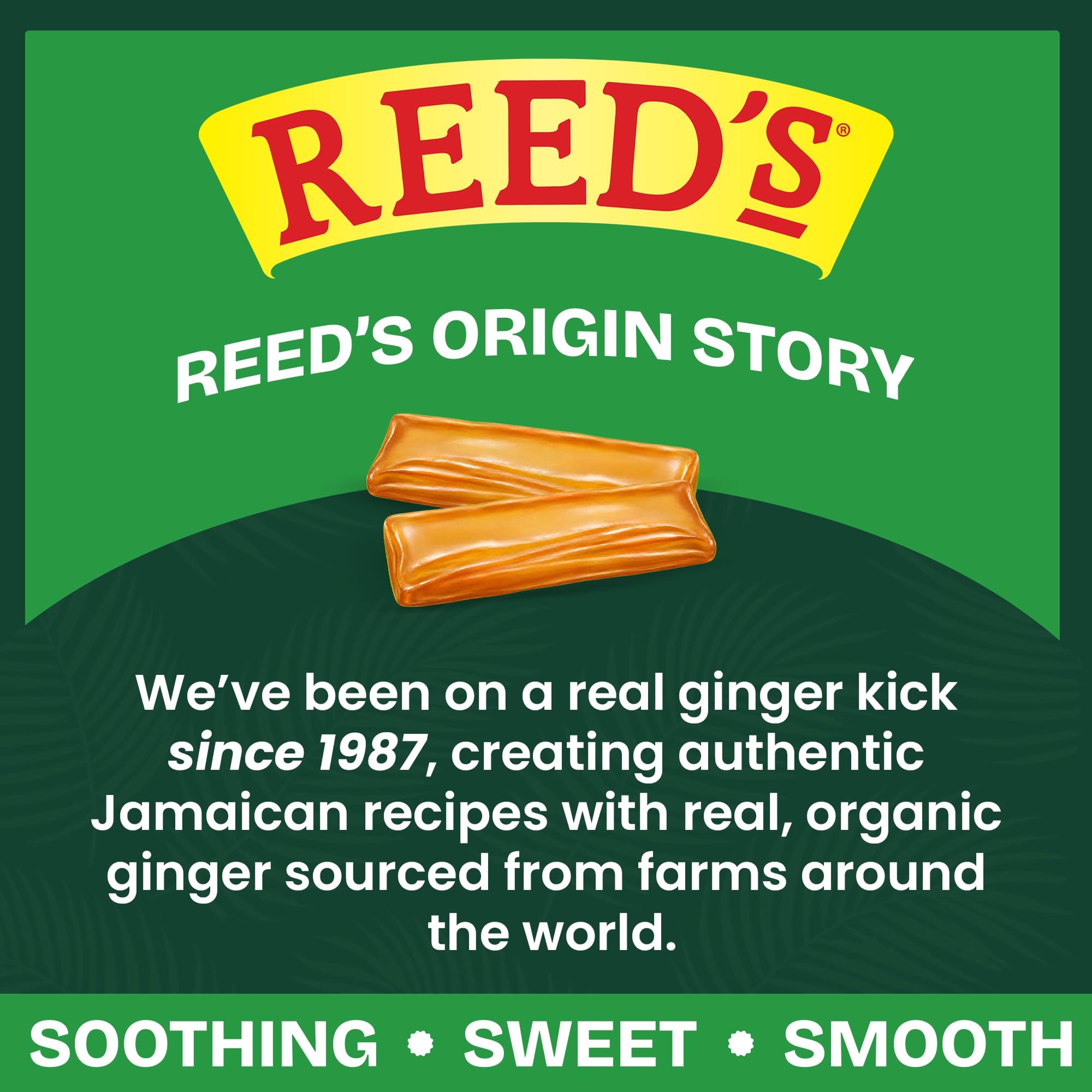 Reed's bag inside a travel kit illustrating portability and on-the-go convenience