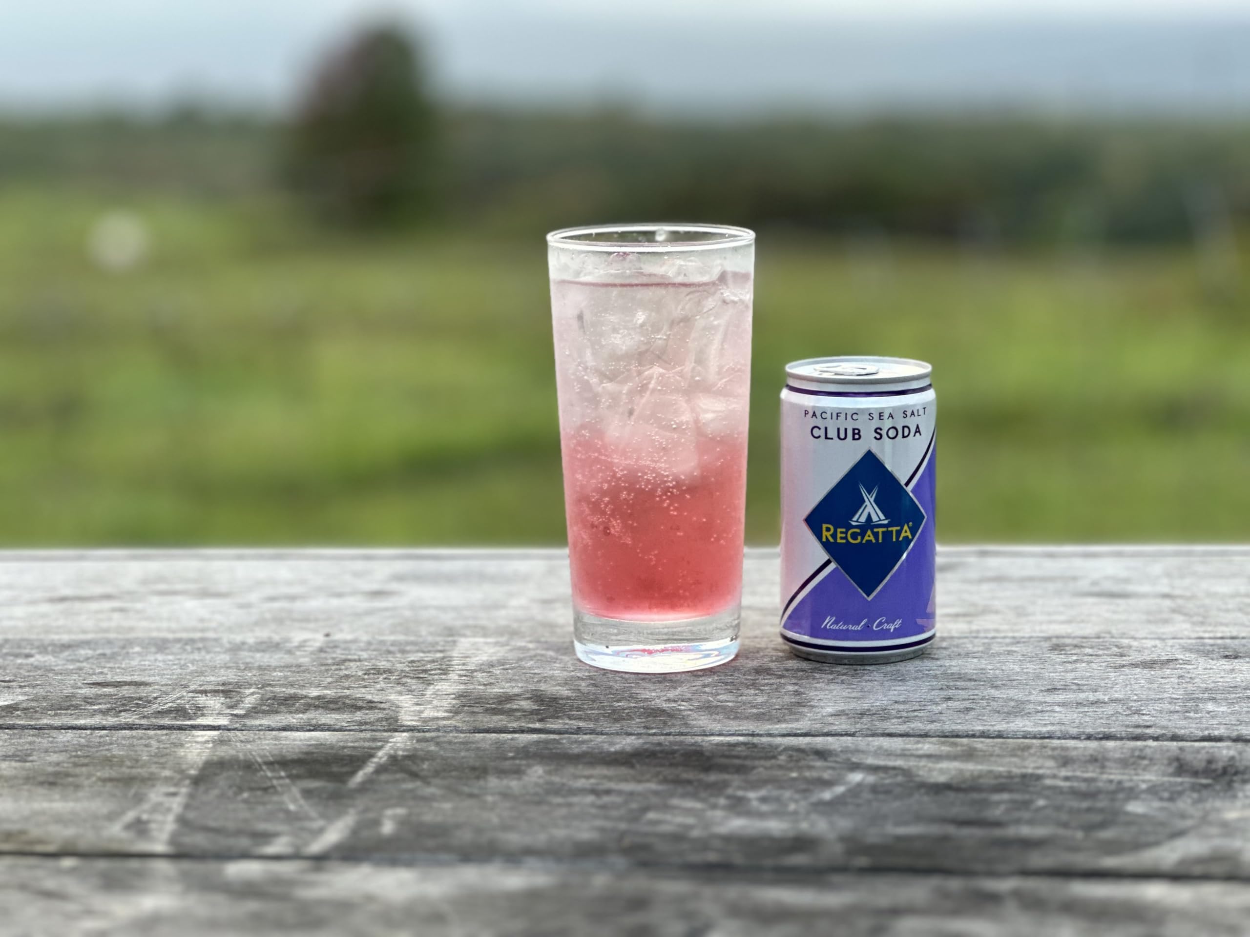 Close-up of Regatta carbonation and foam revealing crisp texture and refreshing fizz
