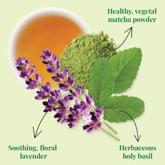 Steeped cup of Republic of Tea Supergreen Serenity showing smooth infusion