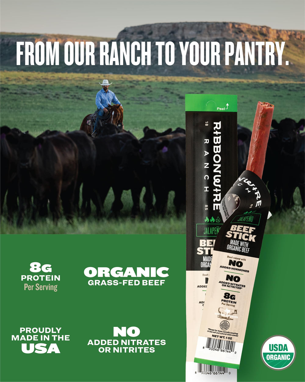 Ribbonwire Ranch single unwrapped beef stick close-up, shows tender texture and flavor
