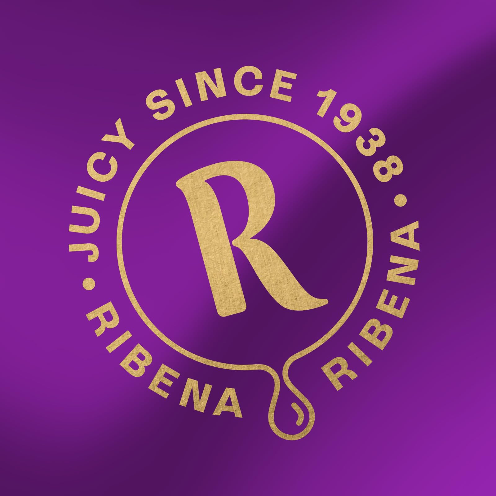 Ribena bottle next to fresh British blackcurrants showing authentic sourcing