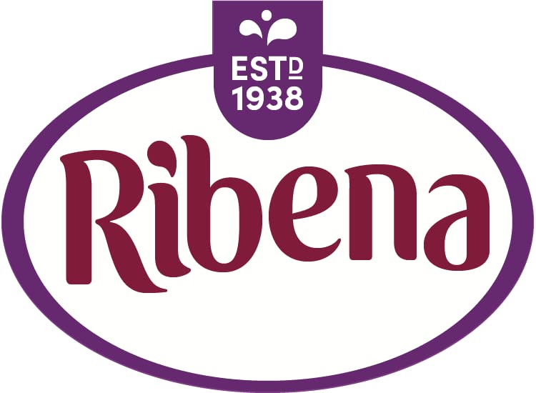 Glass of diluted Ribena squash with ice showing refreshing drink and serving idea