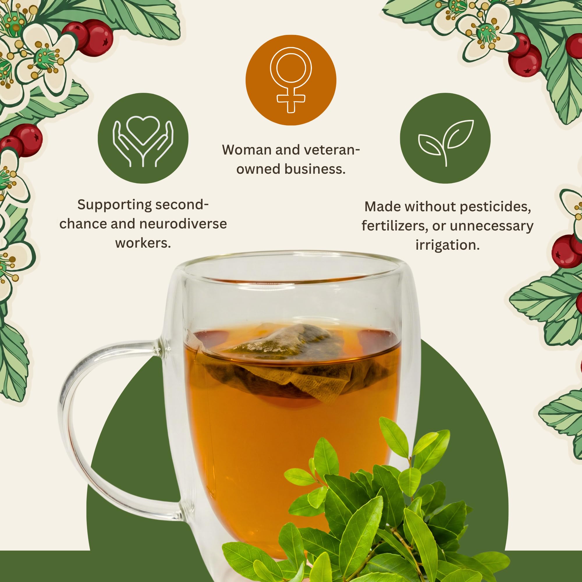 Rise Yaupon iced tea pitcher chilled for refreshing, low-tannin cold brew benefit