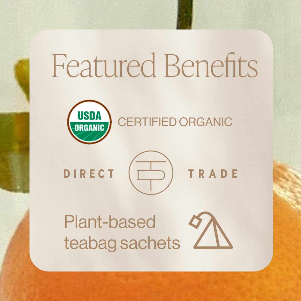 Rishi Tea sachet close-up displaying BPA-free material and clear infusion benefits