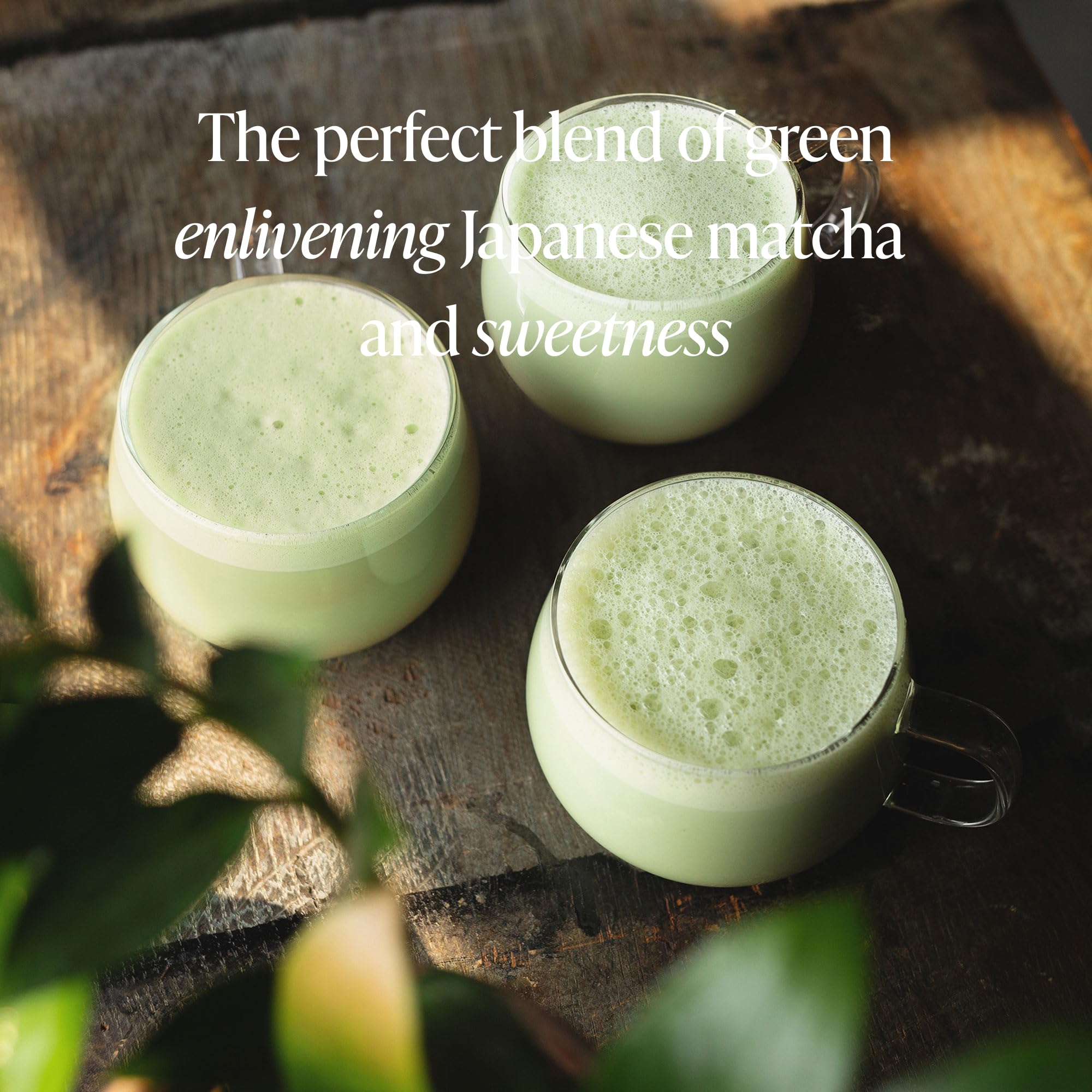 Rishi Tea scoop measuring powder beside cup, precise portions for consistent sweetness