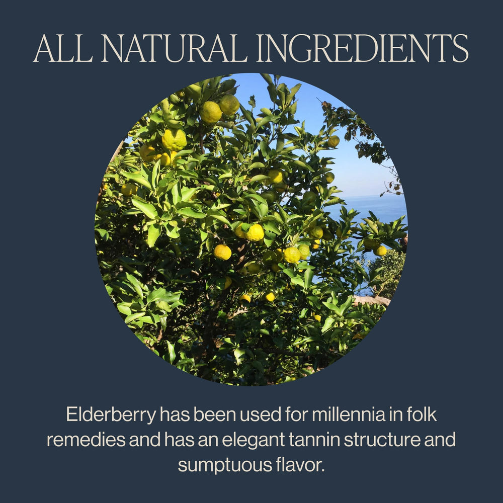 Rishi Tea loose leaf texture spilled beside sachet emphasizing natural ingredients and whole-leaf character