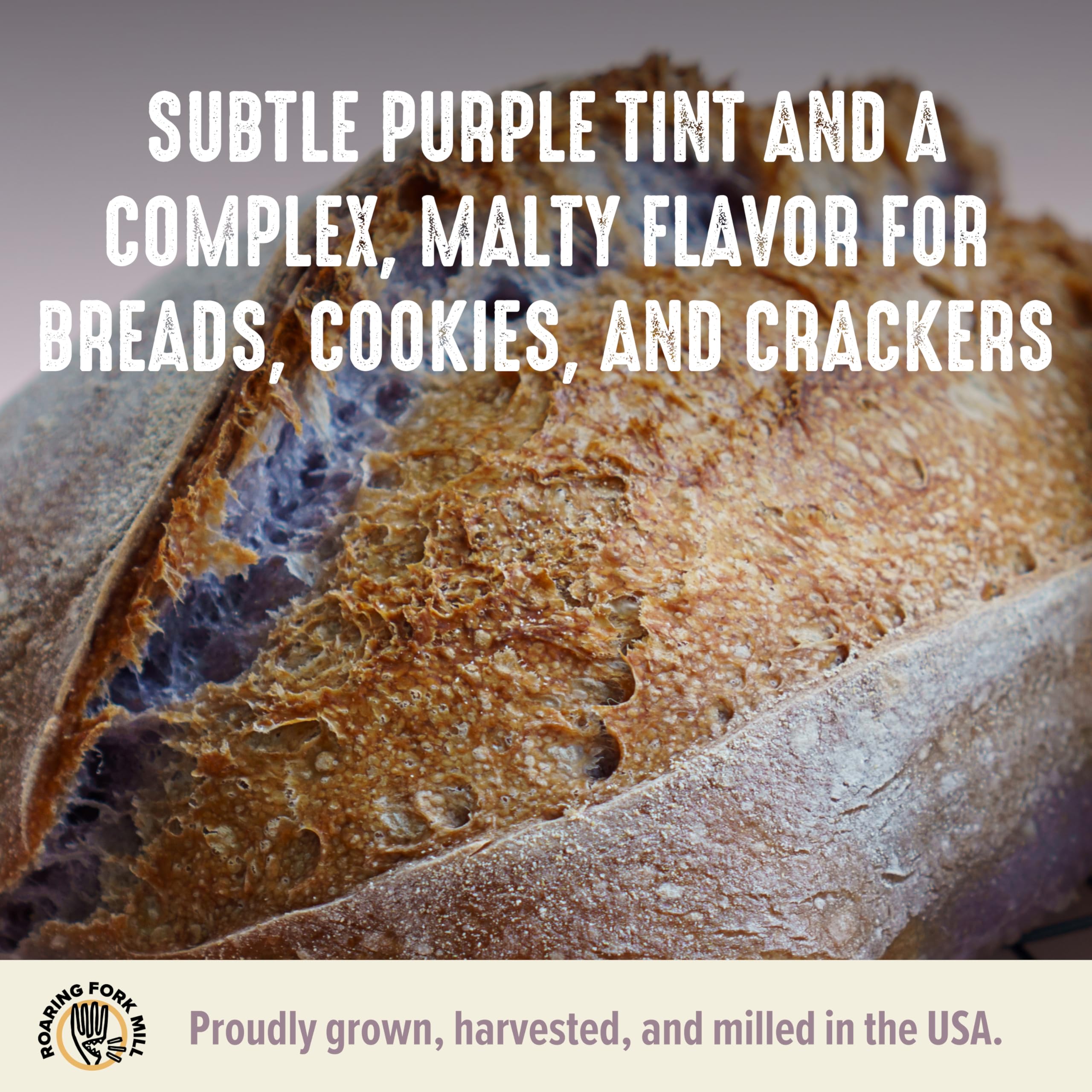 Roaring Fork Mill dough mixing in bowl demonstrating easy incorporation and hydration