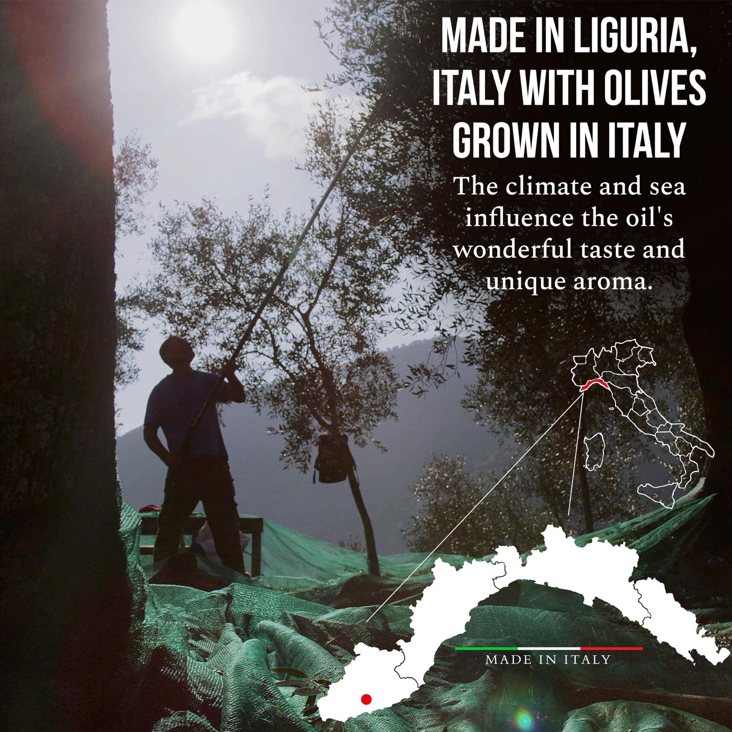 ROI Cucina Ligurian oil pouring from spout to show fluid consistency and easy use benefit