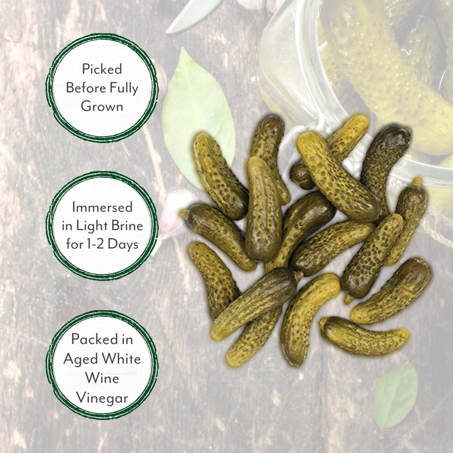 Roland Foods close-up of cornichons in brine showing crisp texture and vinegar clarity