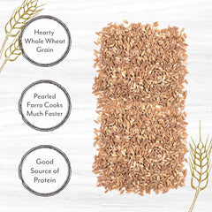 Close-up texture of Roland pearled farro grains highlighting firm chew and nutty appeal