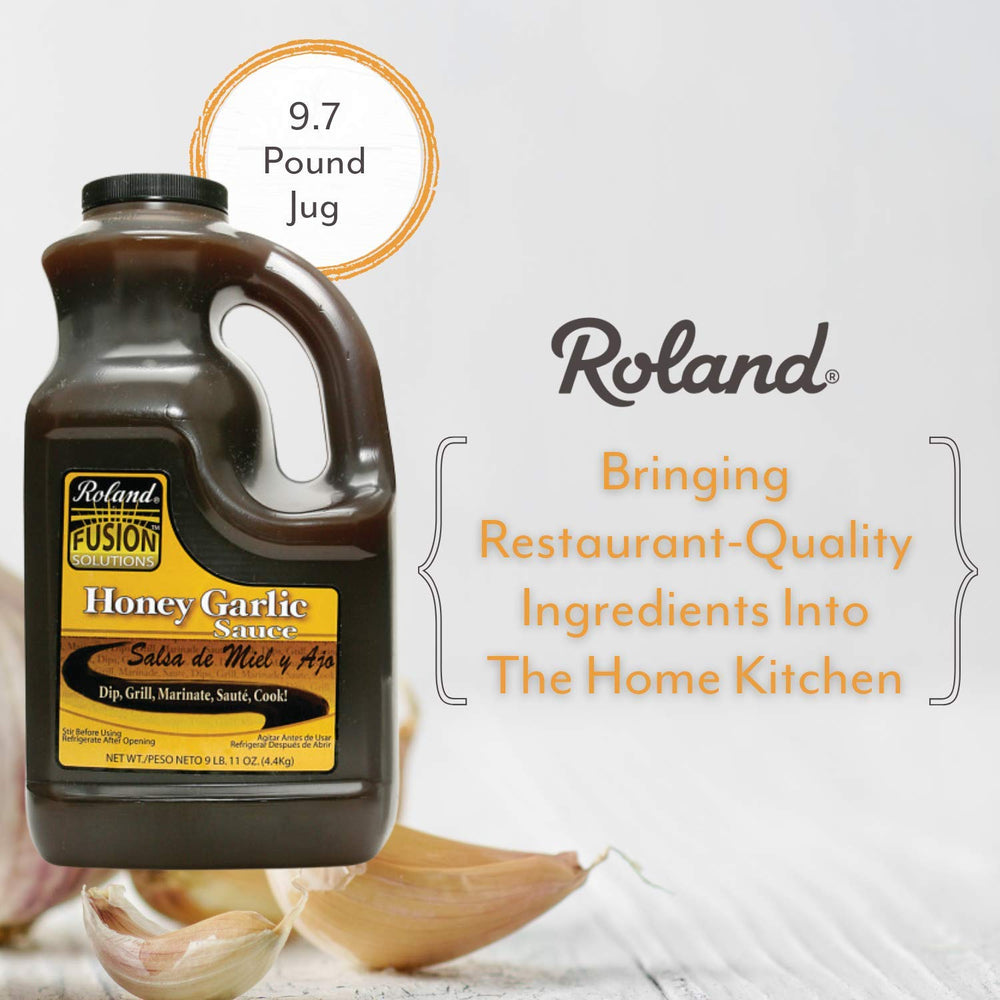 Roland Foods close-up of sauce pouring to show smooth texture and glossy finish