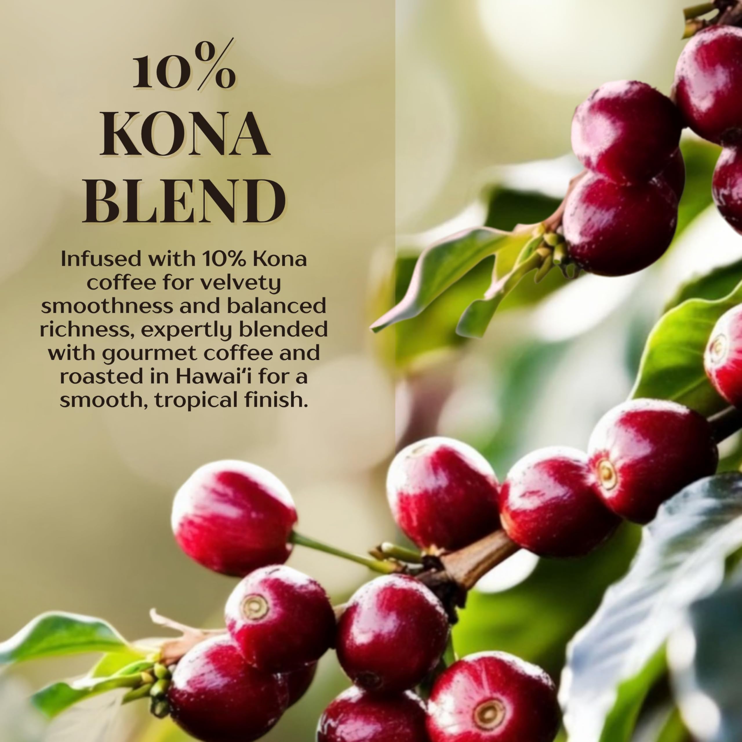 ROYAL KONA COFFEE FOR ROYALTY pods beside a hand for size and portion clarity