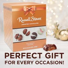 Russell Stover mint patty dark chocolate detail highlighting peppermint center and rich coating