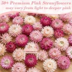 Rylenor open jar revealing 50+ edible pink Helichrysum flowers for ready use