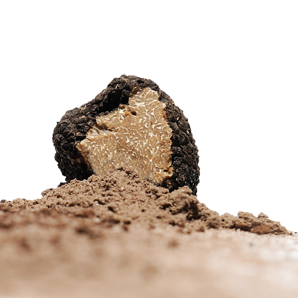 Sabatino Tartufi mixed into butter, creates spreadable gourmet truffle spread