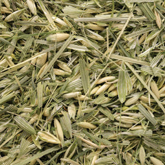 Sacred Blossom Farm oats field illustrating regenerative farming practices