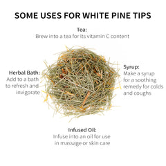 Sacred Blossom Farm harvested pine bundle in field, highlights hand-harvested practice