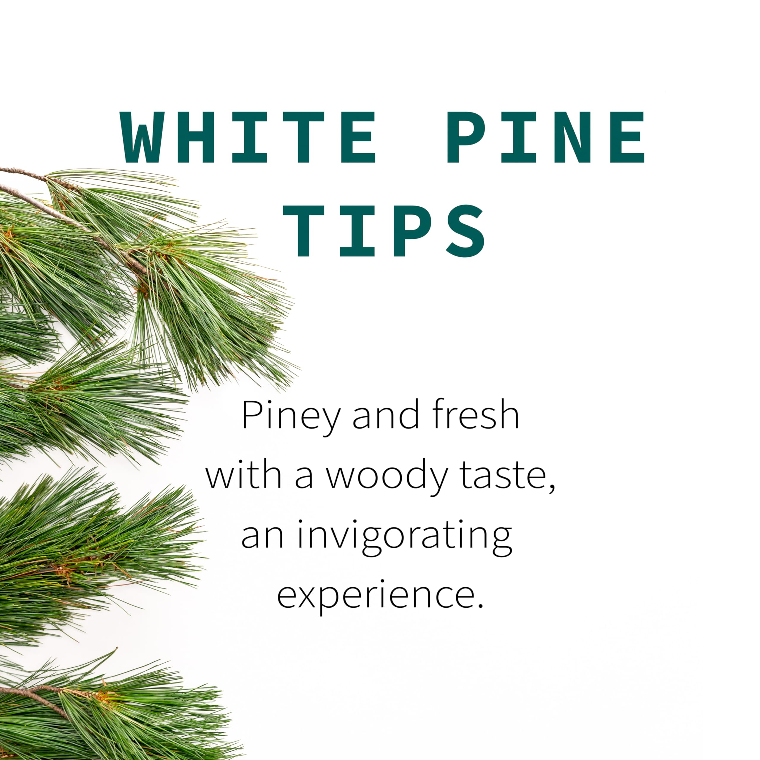 Sacred Blossom Farm close-up of whole white pine needles, preserves natural texture