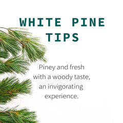 Sacred Blossom Farm close-up of whole white pine needles, preserves natural texture