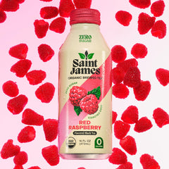 Saint James single can held in hand to show 16 fl oz scale and portable convenience benefit