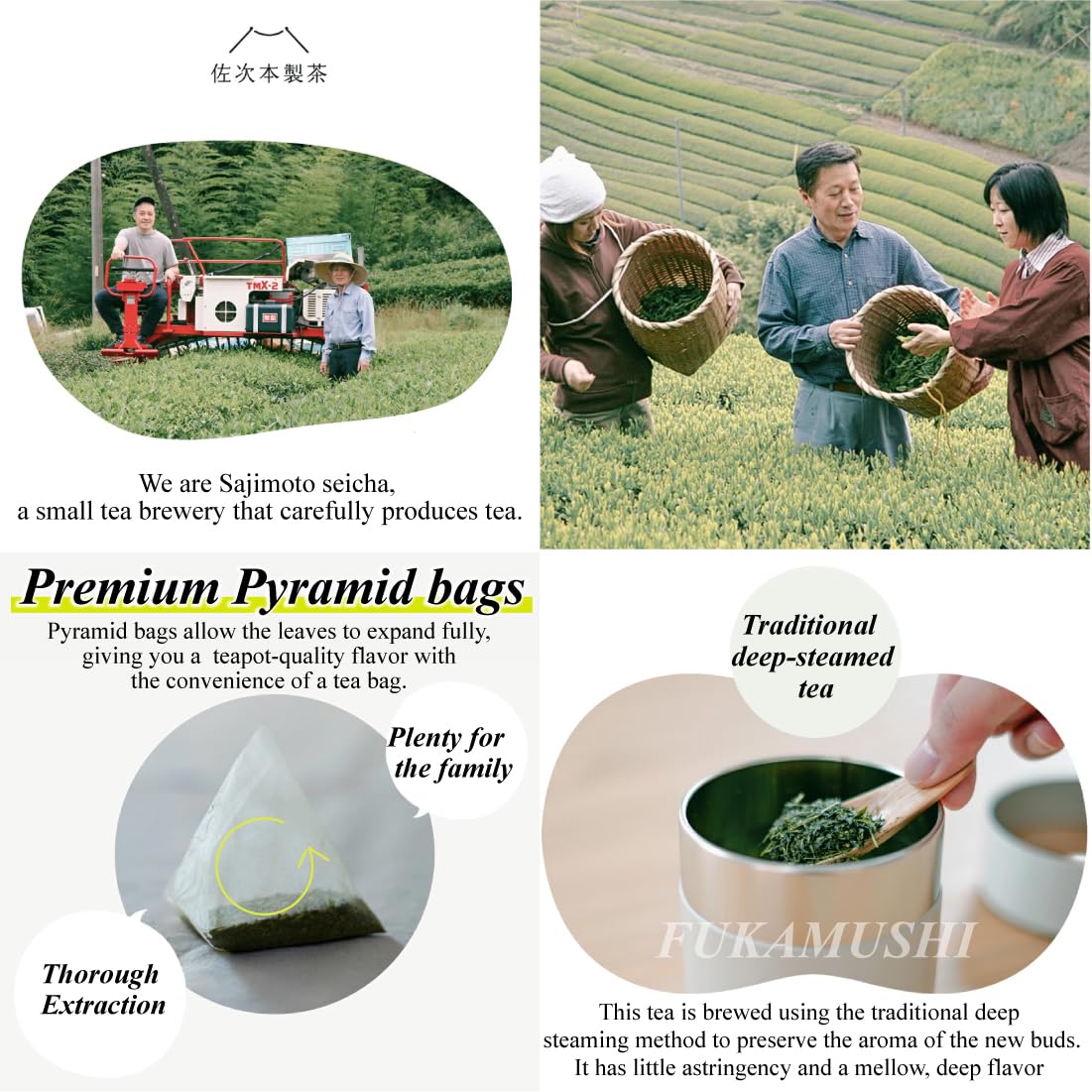SAJIMOTO TEA bag beside hand to show pitcher-size scale and convenience
