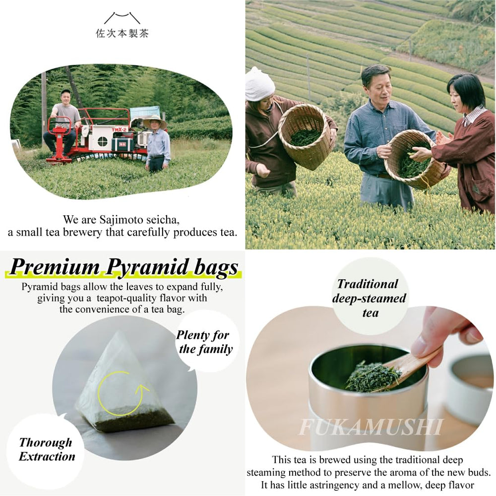 SAJIMOTO TEA bag beside hand to show pitcher-size scale and convenience