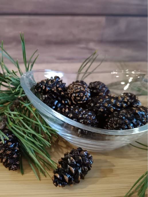 Samsonov candied cones garnishing dessert plate adding aromatic conifer flavor