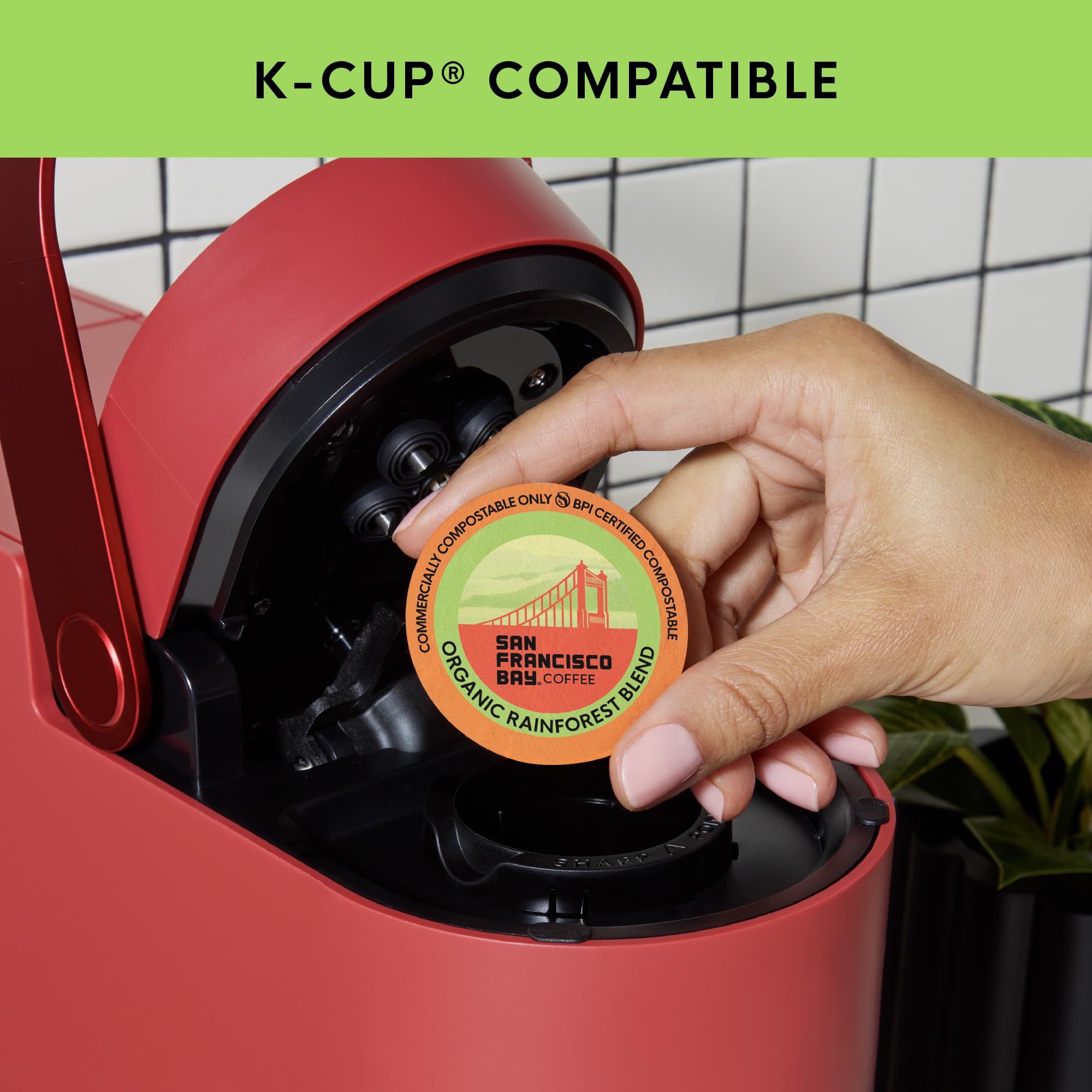 SAN FRANCISCO BAY compostable icons and materials emphasizing eco-friendly disposal benefit