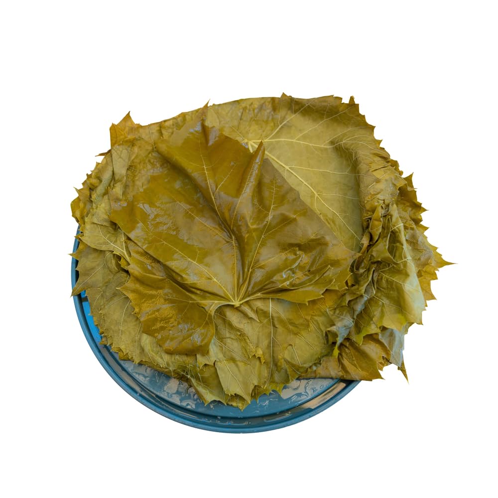 Sanniti closeup showing tender grape leaf texture for pliable rolling