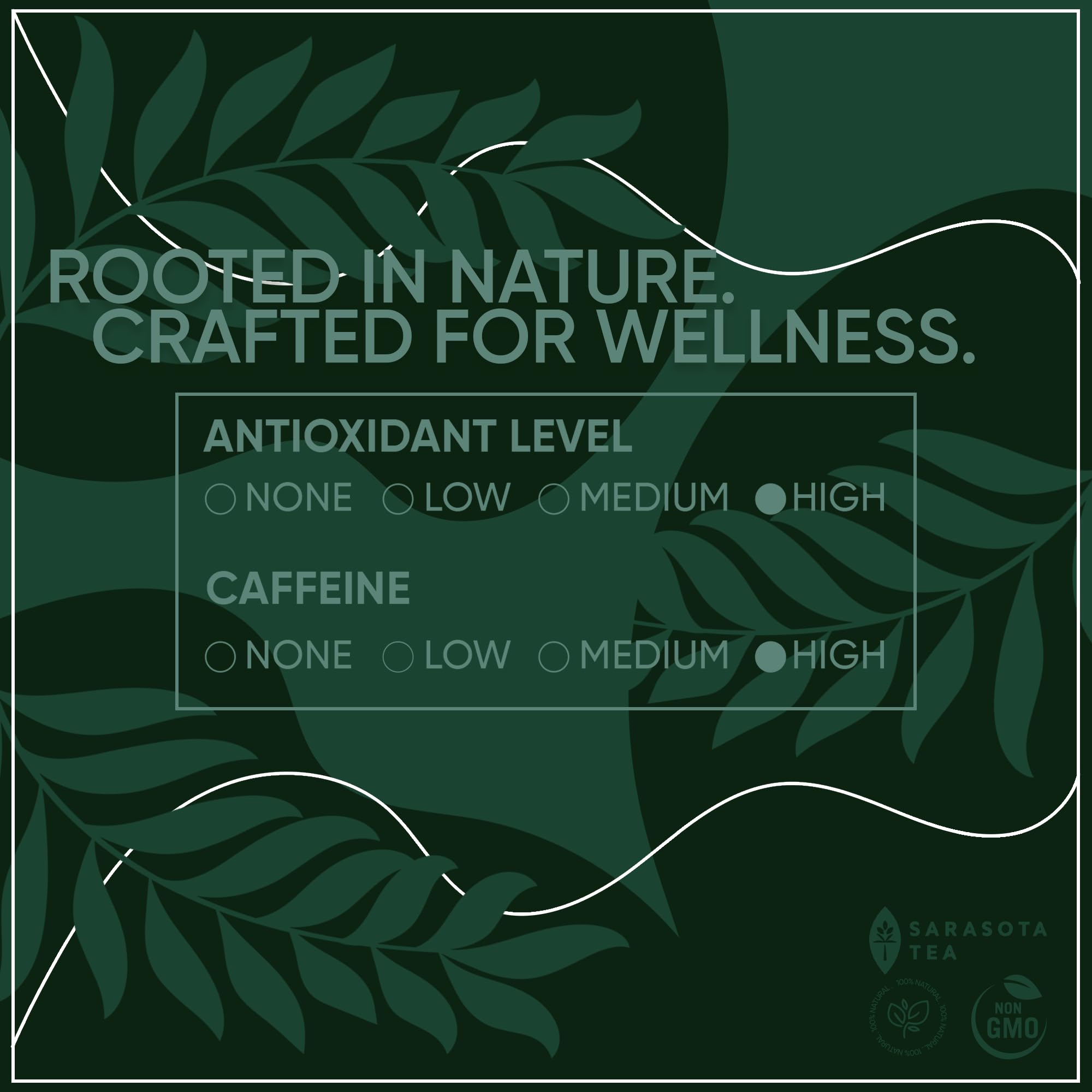 SARASOTA COFFEE & TEA CO. loose leaves beside a ruler showing leaf size and portioning