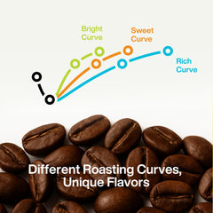 Saturnbird single pod open in hand demonstrating easy single-serve convenience