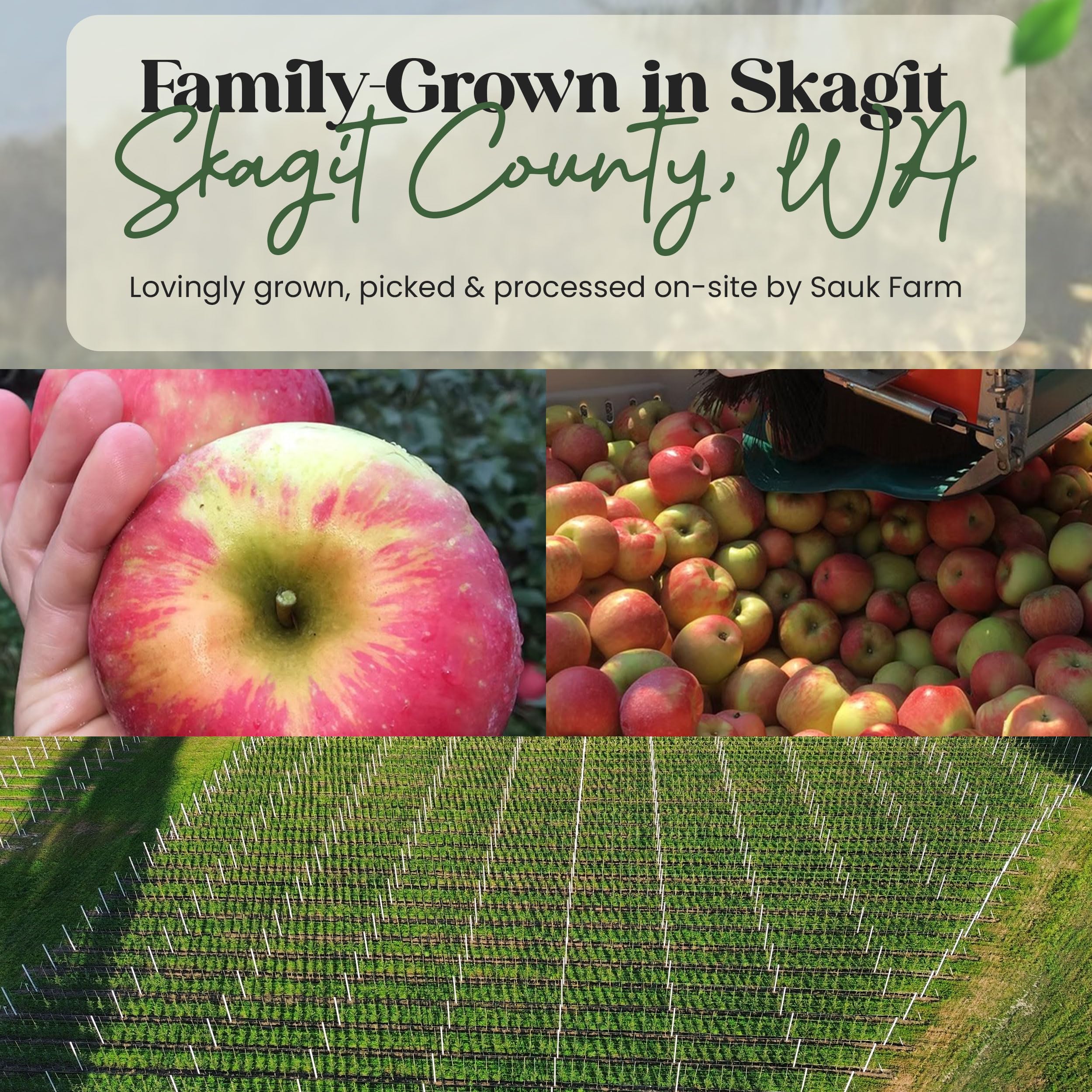 Sauk Farm label close-up showing USDA organic and Real Organic Project certification