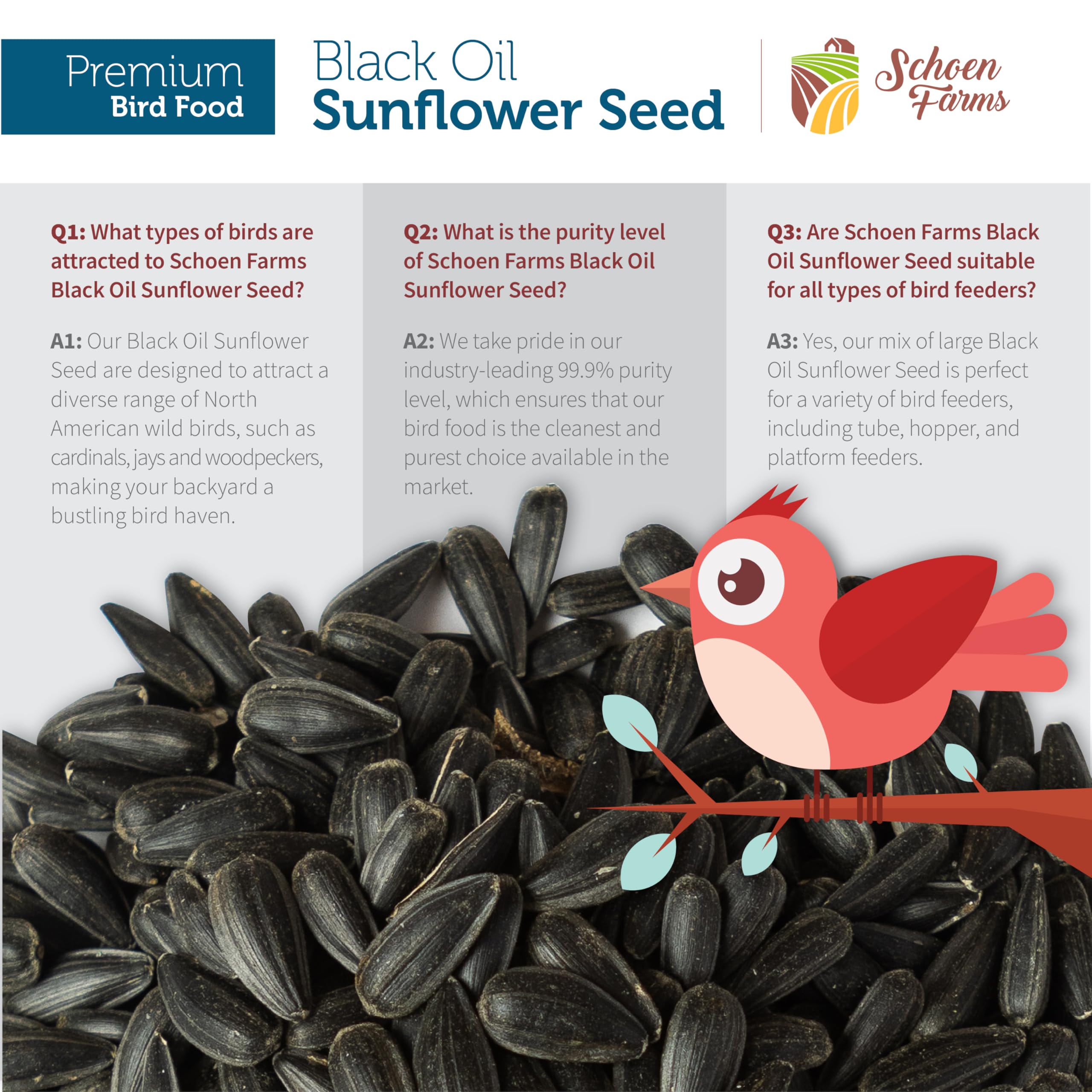 Schoen Farms sunflower seed being eaten by a cardinal for energy