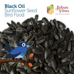 Schoen Farms seeds on platform feeder showing low-waste feeding