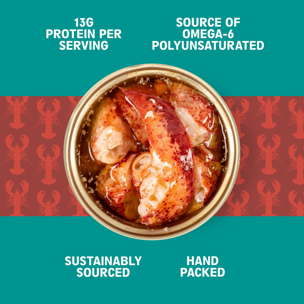 Scout close-up of lobster texture highlighting real meat quality and appetizing detail