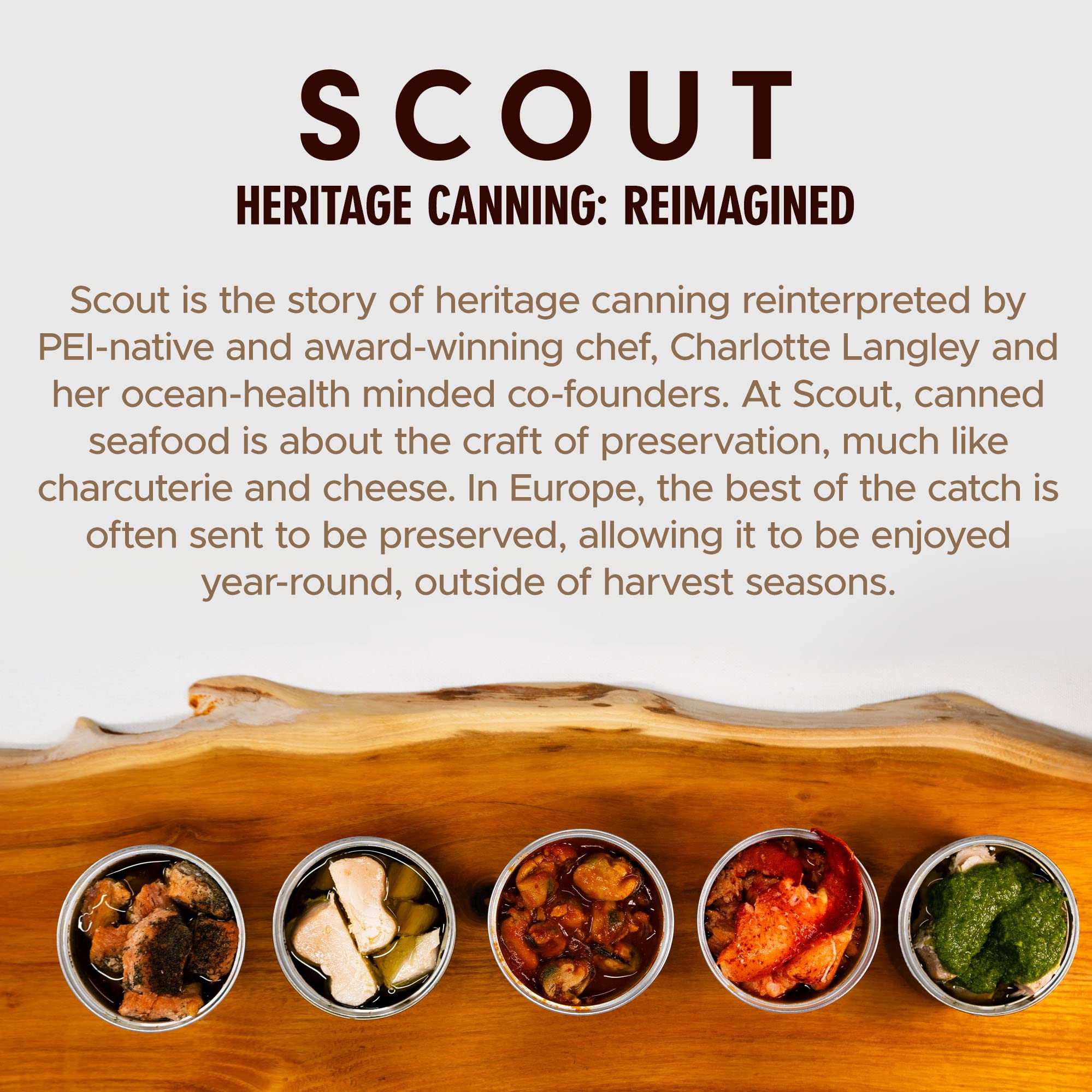 Scout lobster pouch on picnic blanket showing travel-friendly, shelf-stable seafood option