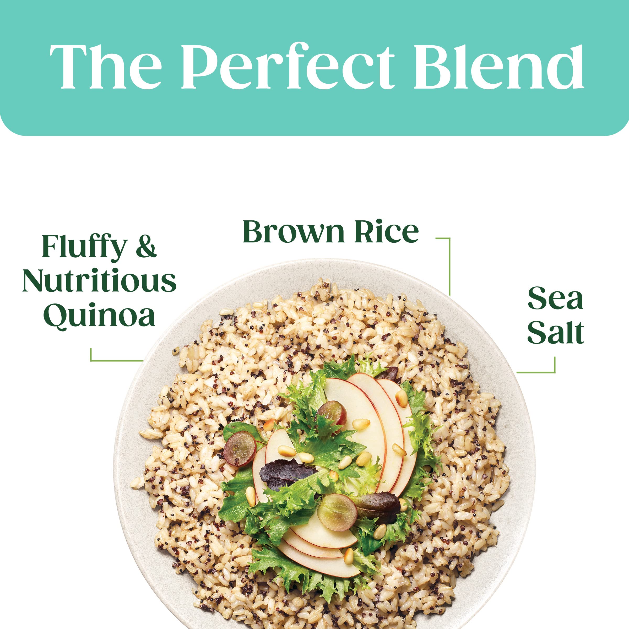 SEEDS OF CHANGE close-up of quinoa and brown rice texture highlighting whole grains
