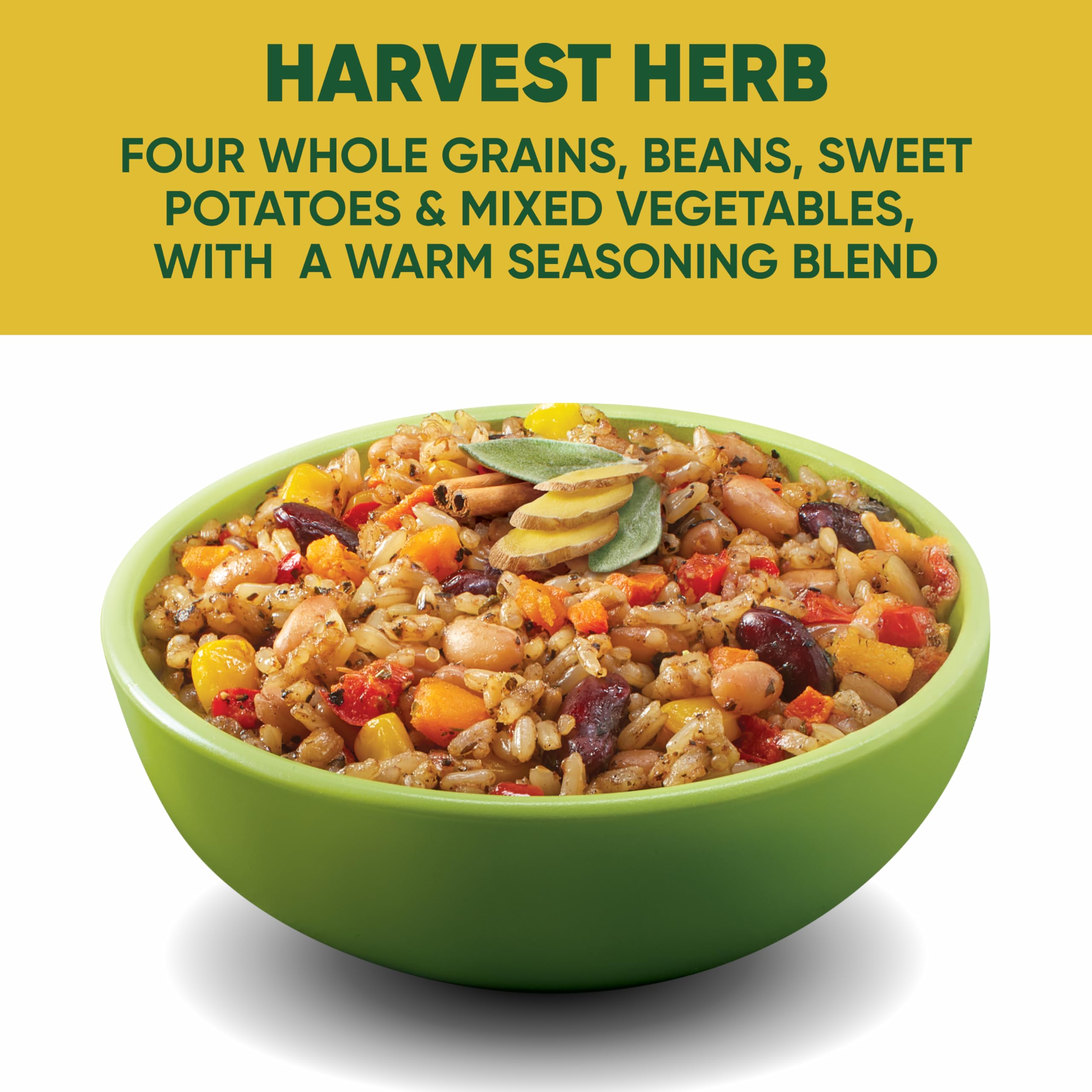 SEEDS OF CHANGE open bowl top view showcasing mixed grains and vegetables