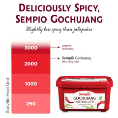 Sempio gochujang on spoon ready to add flavor to recipes