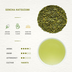 Senbird loose leaves closeup highlighting fine texture and richer infusion