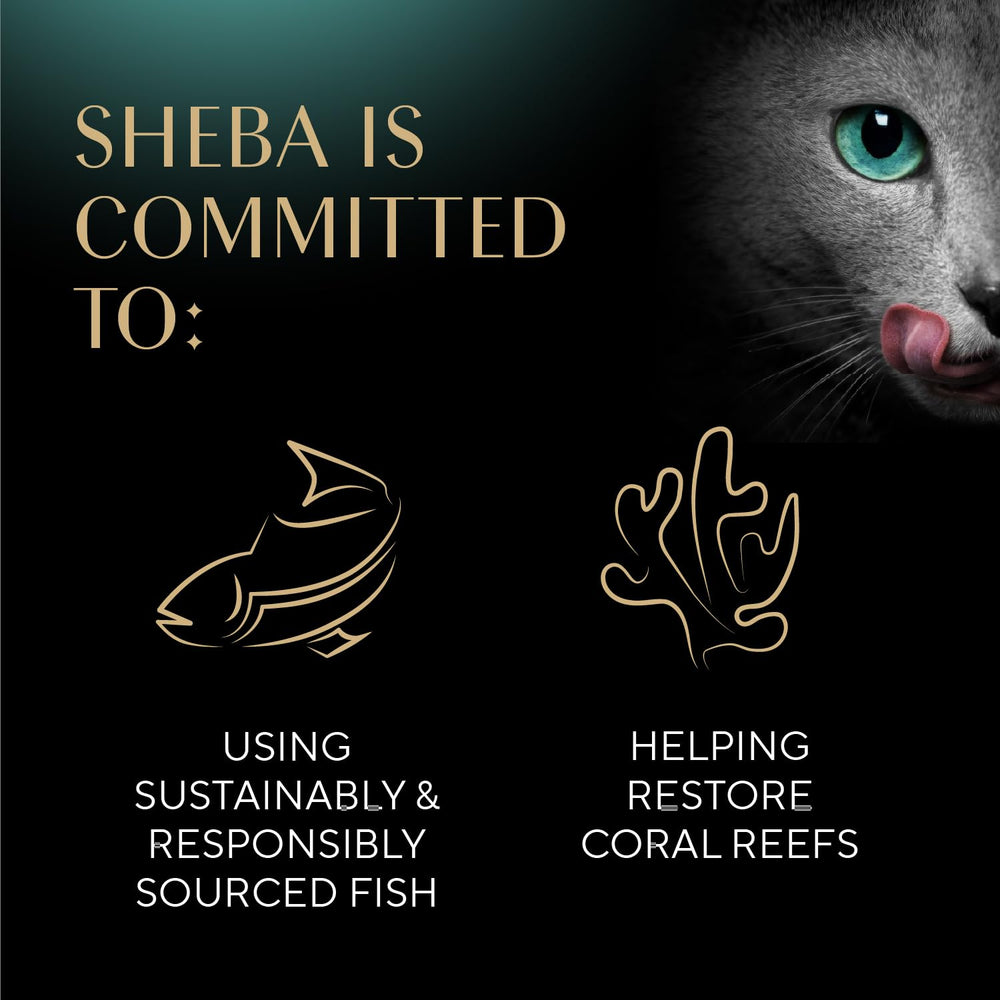 Close-up of Sheba ingredient label showing chicken-first ingredient for quality transparency