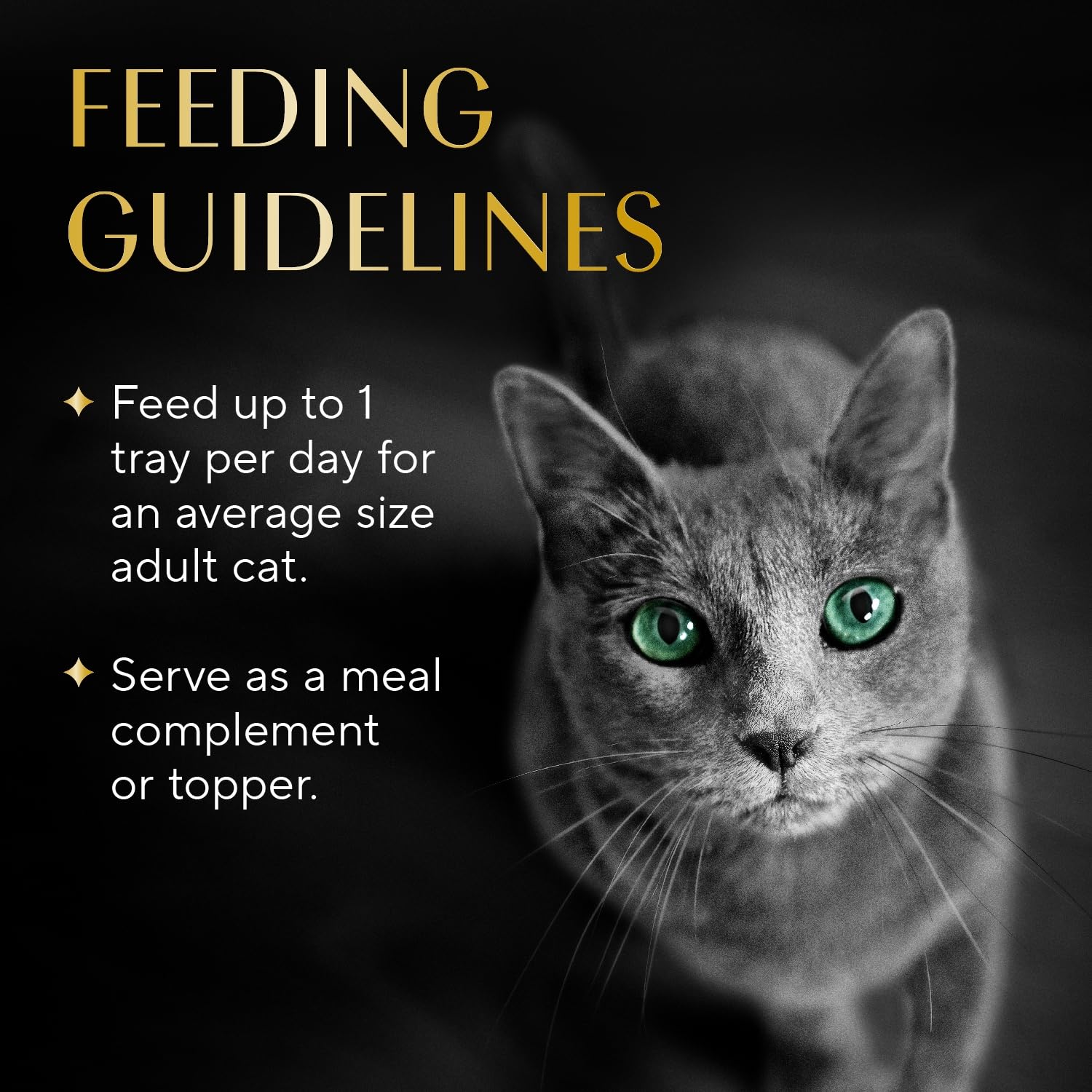 Sheba filets spooned over dry food bowl showing topper use to entice eating