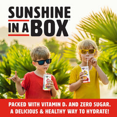 ShineWater Paw Patrol pouch inside a lunchbox showing easy packing benefit