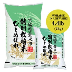 Shinmei Sanchi Gensen cooked rice close-up showing glossy grains and sticky texture, perfect for sushi