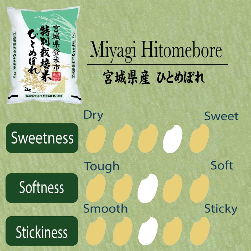 Shinmei Sanchi Gensen cooked sushi rice demonstrating ideal stickiness