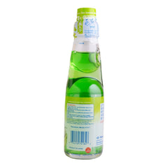 Shirakiku Ramune bottles on picnic table showing melon flavor for social occasions